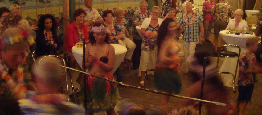 hula dans kinderfeestje